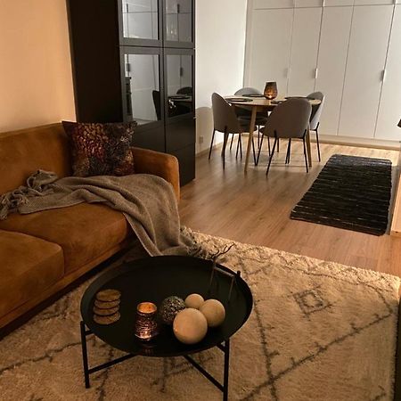 Amazing City Center Apartment Rovaniemi Extérieur photo